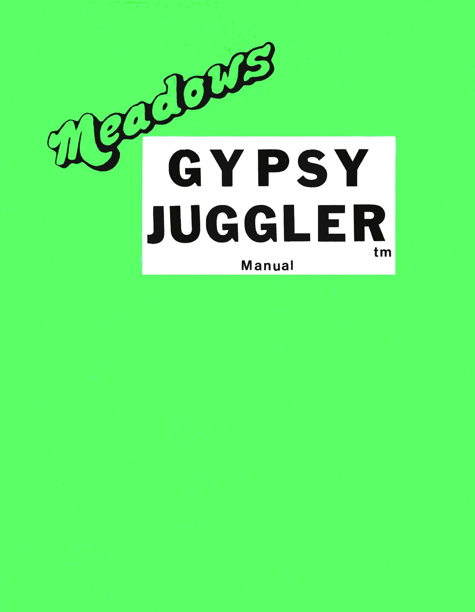 gypsy juggler manual|taito|games|.webp