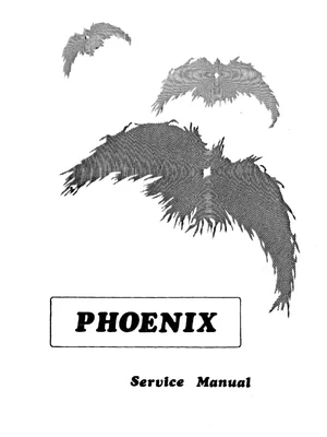 phoenix service manual|zaccaria|games|.webp