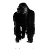 Congorilla manual (Orca)